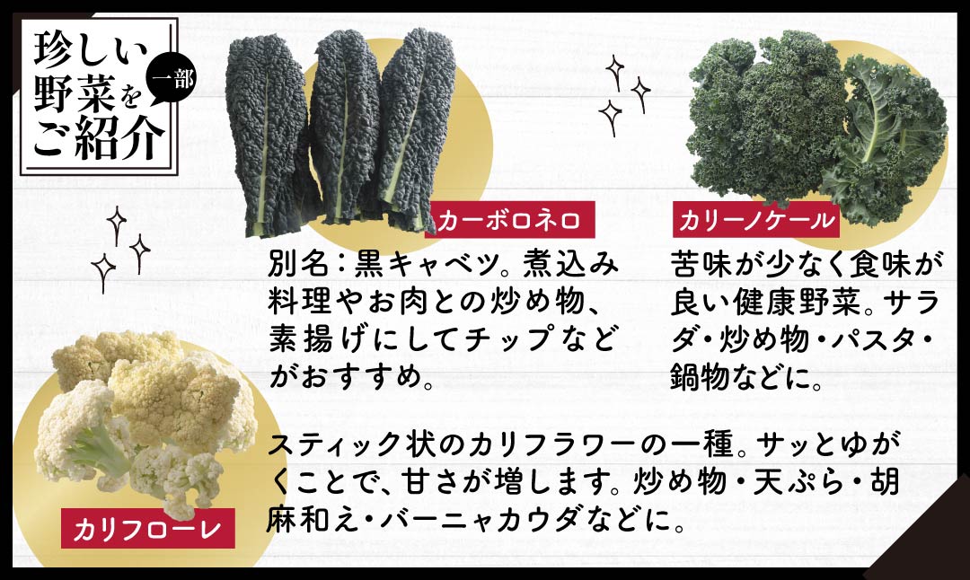 西洋野菜 一般野菜 旬野菜セット 12～13品 | 減農薬 野菜ソムリエ 旬野菜 イタリア野菜 珍しい 食べ比べ 生野菜 サラダ 野菜セット 詰め合わせ ギフト レシピ 贈り物 国産 朝採れ 新鮮野菜