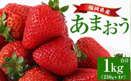 【2026年2月上旬以降順次発送予定】あまおう 約250g×2 as48-001 あまおう 苺