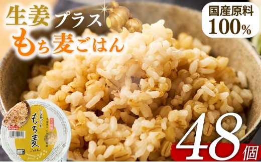 生姜プラスもち麦 ごはんパック 160g 48個 生姜 もち麦 麦 米 ごはん ご飯 こめ パックライス パックご飯 パックごはん ご飯パック ごはんパック パック ライス 備蓄 防災 保存 電子 レンジ 温めるだけ レンチン 簡単 調理 健康 美容 ヘルシー ダイエット レトルト インスタント おいしい 人気 おすすめ 国産 食物繊維 穀物 個包装 48 48食 おくさま印 大阪 松原