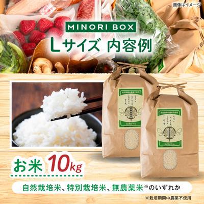 ふるさと納税 糸島市 【全4回定期便】糸島産 魚 米 野菜 果物 厳選合わせ Lサイズ　[AOP006] |  | 01