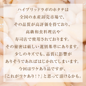 【先行予約】ほたて ＜訳あり＞ 貝柱 1.1kg 加熱用 帆立 ホタテ 石巻市