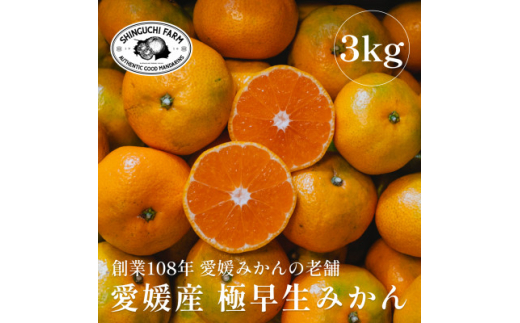 創業百八年 愛媛みかんの老舗＜極早生みかん3kg＞愛媛県川上産＜新口農園＞＜B70-66＞【1615054】