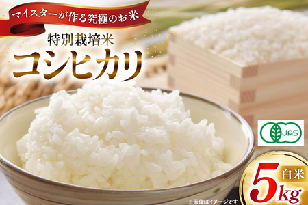米 令和7年 特別栽培米 コシヒカリ 5kg 【有機JAS】 [遠藤農園 山形県 高畠町 tk06ayt120011]