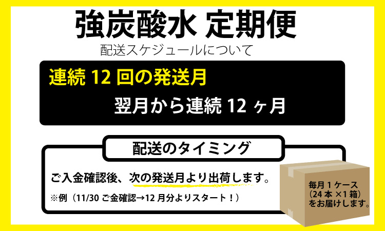 【定期便】（12ヶ月連続お届け）強炭酸水（500ml）１ケース（24本入り）×12回