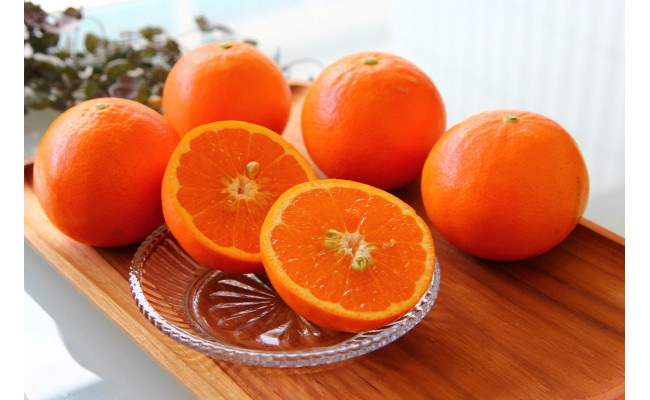 
                  ZS6138n_主井農園 高級 セミノール 赤秀 2.5kg
                