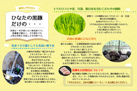 【牧場直販】ひなたの黒豚 本ロース詰め合わせ 880g（豚肉 黒豚 豚 しゃぶしゃぶ用 しゃぶしゃぶ とんかつ用 ロース 小分け）