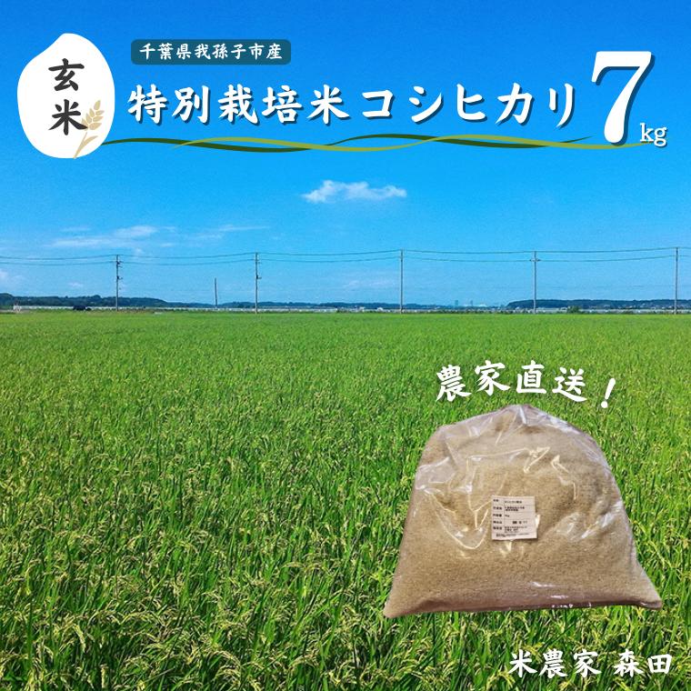 AT002-a 【冷めても美味しい】農家直送 千葉県産 特別栽培米コシヒカリ 7kg（玄米）