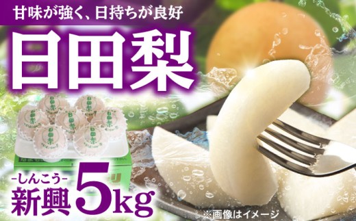 【先行予約・26年10月以降発送】日田梨 新興 5kg 日田市 / 日田梨協同組合　梨  なし 新興  しんこう 和梨 果物 くだもの[ARBB005]