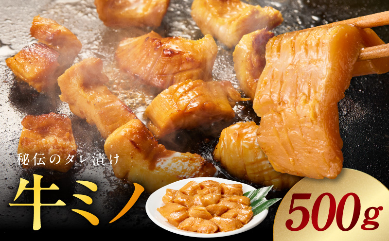 焼肉用 牛ミノ 500g 【味付き 秘伝のタレ漬け 250g×2P 小分け 焼くだけ ホルモン コリコリ食感 BBQ おかず おつまみ 大阪 泉佐野 大阪府 泉佐野市】