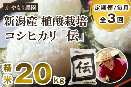 【令和7年産】【定期便3回毎月お届け】新潟産コシヒカリ「伝」白米真空パック 精米20kg（5kg×4）《9月下旬〜順次出荷》