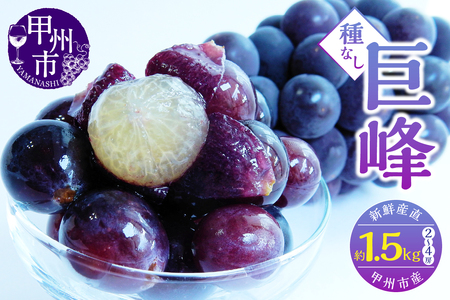 【先行予約】新鮮産直甲州市！種なし巨峰1.5㎏２～４房
