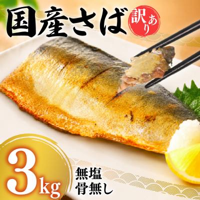 ふるさと納税 下関市 【7営業日以内発送】訳あり さばフィーレ 無塩 骨取り 3kg NV005