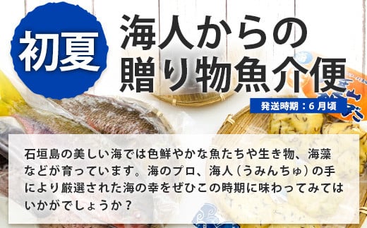 【4回/年定期配送 石垣島のタカラモノ便】 SH-3 春夏秋冬のお楽しみ(野菜 鮮魚 フルーツ 肉 牛肉 豚肉 加工品 八重山そば かまぼこ マグロ 果物 パイン マンゴー 頒布会 セット 贈答 4ヵ