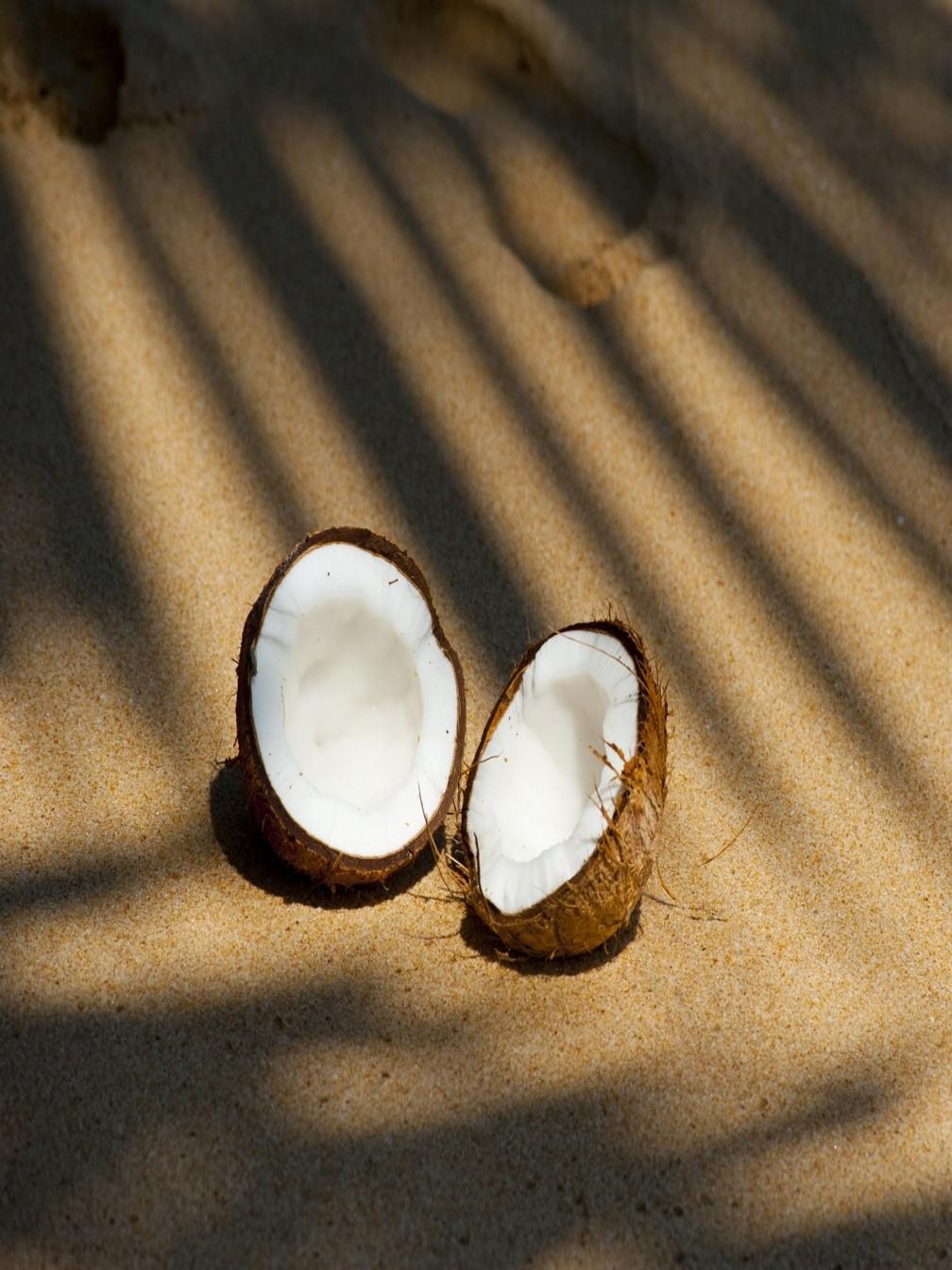 ［無添加、卵不使用］グラマラッカココナッツジェラート8個セット