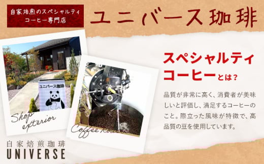 コーヒー豆セット セットB 豆のまま グアテマラ スペシャルブレンド ブラジル (各100g) ユニバース珈琲 《30日以内に出荷予定(土日祝除く)》 コーヒー 豆 セット 飲み比べ【配送不可地域あり