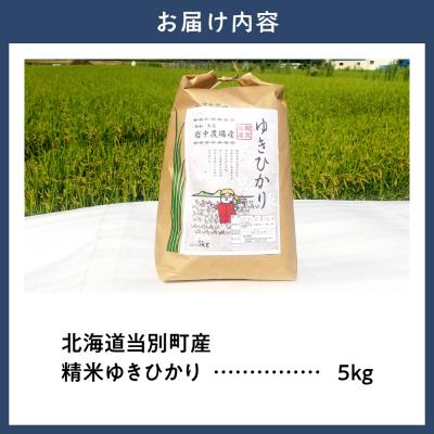 ふるさと納税 当別町 【令和7年産】精米ゆきひかり5kg_tb11-015 |  | 01