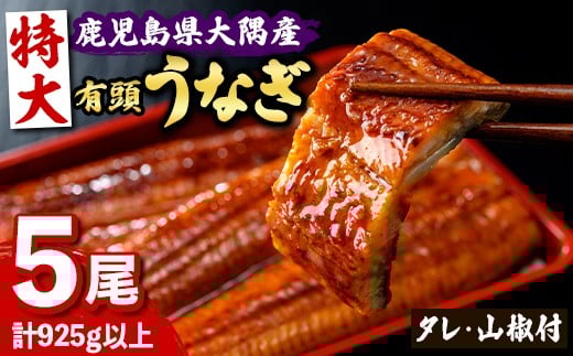 
                  C57006 特大うなぎ蒲焼(有頭)(5尾・計925g以上、タレ、山椒付) 鹿児島 国産 九州産 大隅産 鰻 うなぎ ウナギ 蒲焼き うな重 うな丼 ひつまぶし 丑の日 土用の丑の日 化粧箱 贈答 【一般社団法人きもつき宇宙協議会】
                