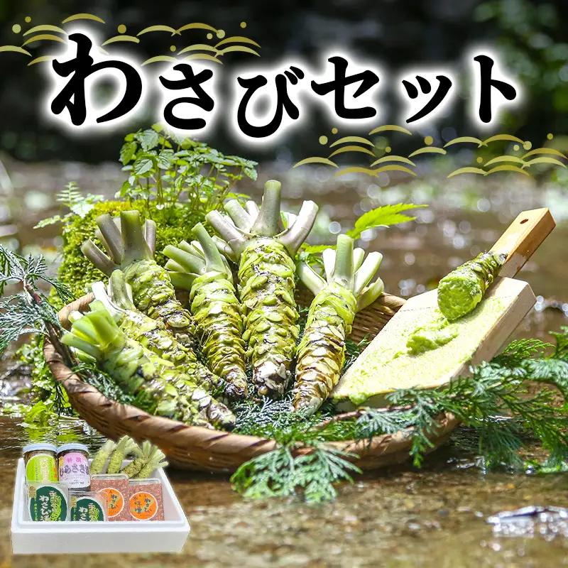 わさび セット 池 生わさび わさび漬け 手作り わさび