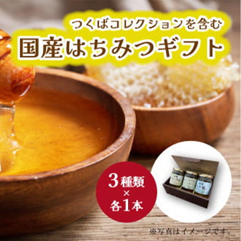 【ふるさと納税】つくばコレクションを含む国産はちみつギフト | 茨城県 つくば市 ハチミツ はちみつ 蜂蜜 ハニー はち蜜 国産 養蜂 詰め合わせ 詰合せ セット ギフト ギフトセット 国産 自然の恵み お歳暮 お年賀 健康 10000 10000円