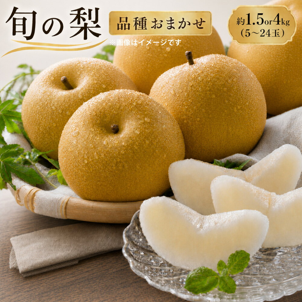【ふるさと納税】旬の梨 品種おまかせ 選べる内容量 計約1.5kg（5～10玉） / 計約4kg（6～24玉） 梨 なし ナシ 豊水 秋月 新高 フルーツ くだもの 果物 果実 デザート 冷蔵 熊本県産 国産 熊本県 熊本市 送料無料 【2026年9月下旬迄発送】