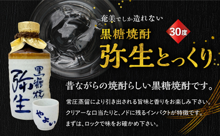 奄美 でしか造れない 黒糖焼酎 みんがめ 30度 900ml ＆ 弥生とっくり 30度 720ml 2本入セット A185-031 焼酎 酒 お酒 アルコール 黒糖 本格焼酎 弥生 ロック 水割り お