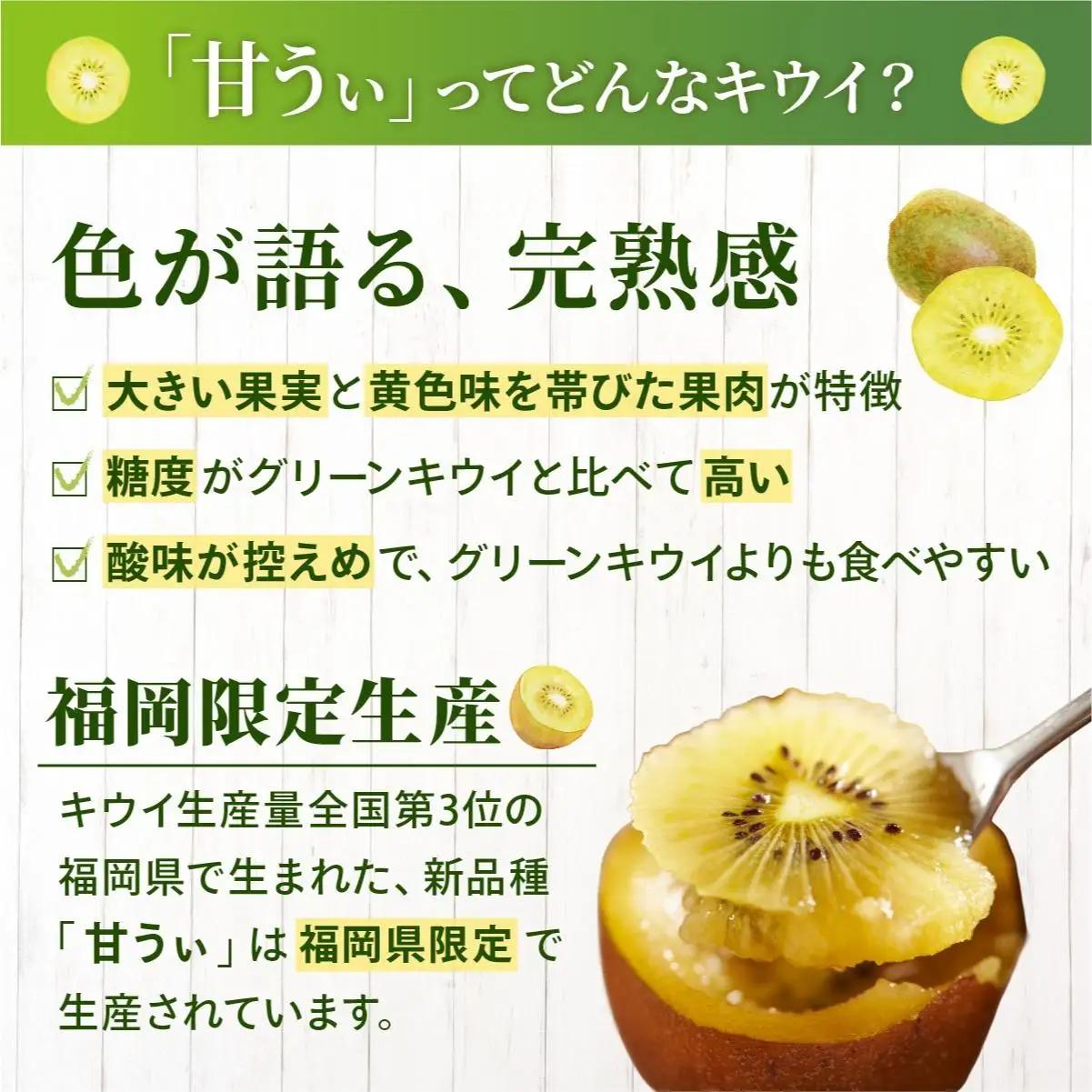 寄附額改定↓【先行予約】希少 キウイ 甘うぃ 約3kg（2026年11月以降発送）