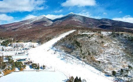 スキー場 リフト利用券 5万円 旅行券 クーポン券 サービス券 旅行 リフト券 スキー専用 ゲレンデ チケット 信州 長野県 富士見町 着日指定不可 富士見高原リゾート 