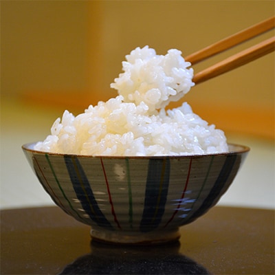 特別栽培米10kg(精米/ミルキークイーン・コシヒカリ　各5kg)