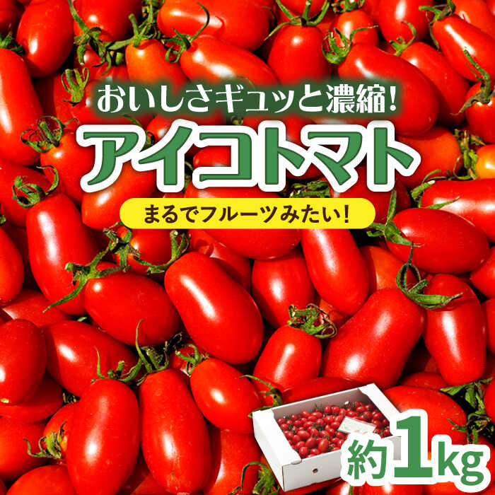 【ふるさと納税】【完熟ミニトマト】アイコトマト 約1kg / とまと トマト アイコ 1kg ミニトマト プチトマト 野菜 / 南島原市 / 長崎県農産品流通合同会社 [SCB039]