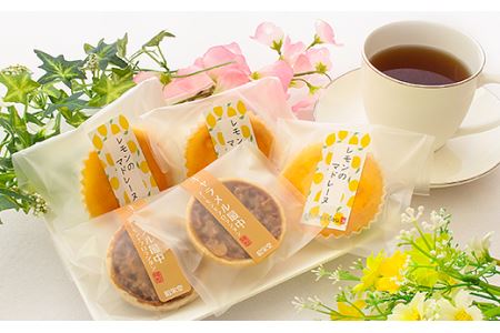 地元の御菓子屋「ふる里本舗昭栄堂」の和菓子詰め合わせセット