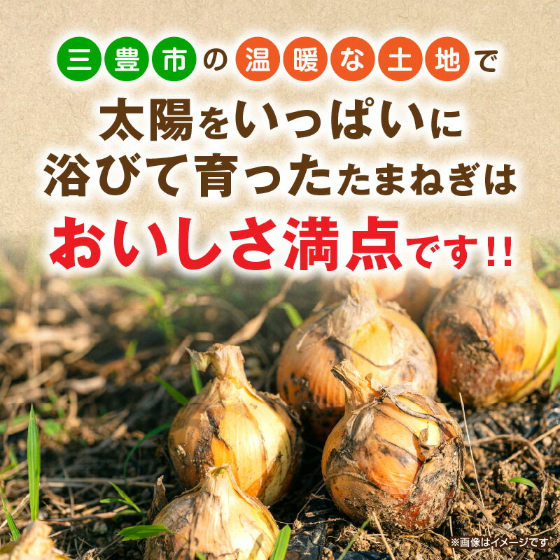 【ふるさと納税】 たまねぎ 三豊市の太陽を浴び育った玉ねぎ 約10kg [ 玉ねぎ 新玉ねぎ 淡路島玉ねぎ 北海道玉ねぎ通販 訳あり 産地直送 保存 業務用 レシピ カレー 玉葱 タマネギ スープ 健康 血液サラサラ 送料無料 返礼品 五色青果 ]