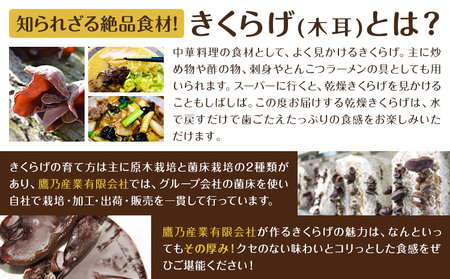 乾燥きくらげ 160g 鷹乃産業有限会社 《30日以内に出荷予定(土日祝除く)》熊本県 球磨郡 山江村 きくらげ きのこ 野菜
