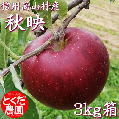 【ふるさと納税】高山村産りんご(秋映)3kg箱【1588229】