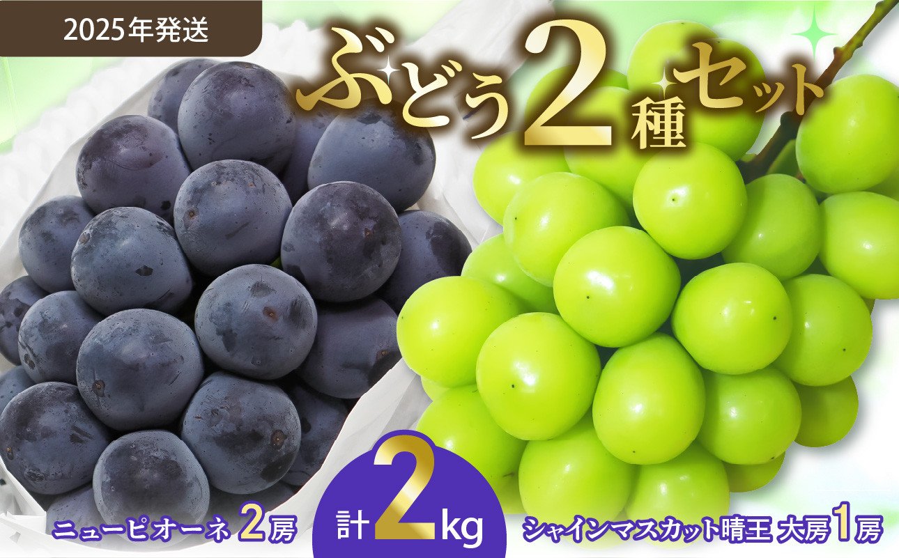 
            【令和７年発送分】岡山県産 シャインマスカット晴王×ニューピオーネ 2種2kg（令和7年8月から10月発送）【 岡山県産 シャインマスカット ニューピオーネ 高品質ぶどう 晴王 晴れの国おかやま 】
          