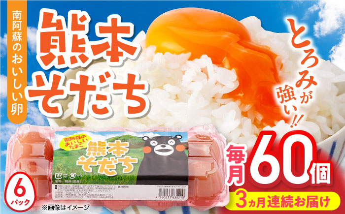 【全3回定期便】熊本県産 熊本そだち 60個入り ( 10個入り × 6パック ) 山都町 たまご 卵【蘇陽農場】 [YBE034]