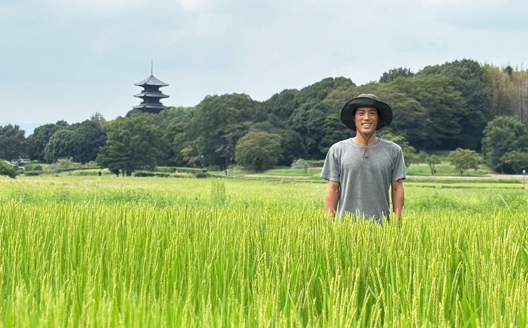 新米 令和８年産 【先行予約】  自然栽培米 「キヌムスメ」５分づき 選べる容量 無農薬