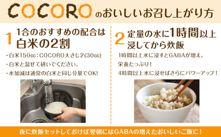 巨大胚芽米COCORO 玄米 約5kg【配送不可地域あり】 (離島) ドリームクリエイト早瀬農産 早瀬亨《2026年10月中旬-11月中旬頃出荷》 岡山県 浅口市 岡山県産 米 コメ こめ 玄米 送料