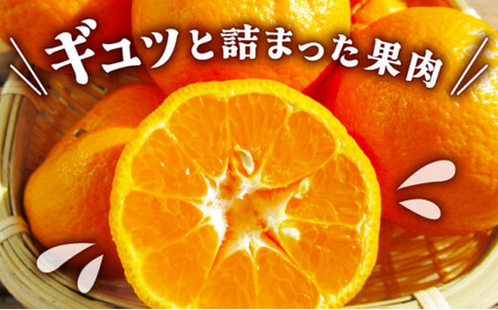 【先行予約】訳ありポンカン　サイズおまかせ　5kg　NT6 [N-05] 【布富FARM】