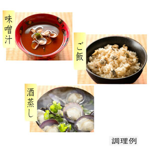 宍道湖産 冷凍 しじみ 約1.2kg（250g×5袋））| しじみ
