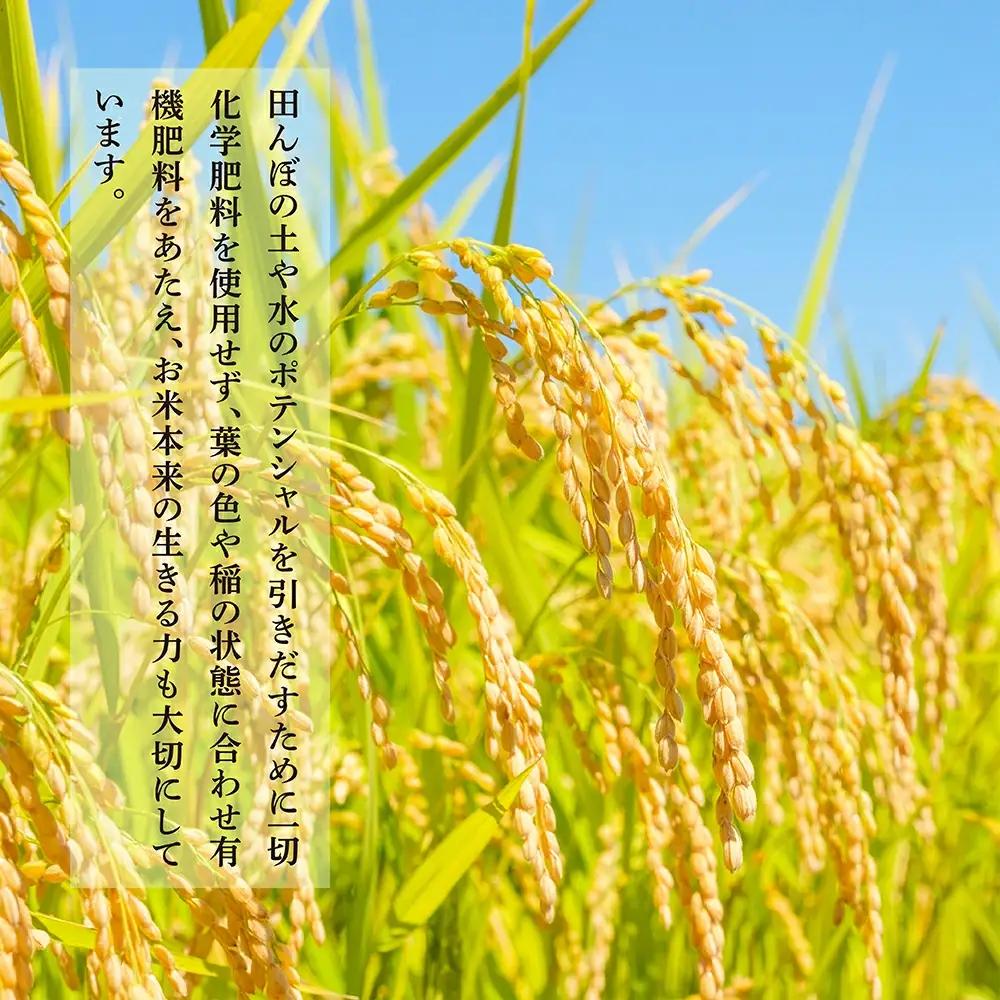 【令和7年産米】受賞米 こめたらぎ にこまる 精米 10kg (5kg×2袋) 米 お米 10月中旬～発送 グランプリ受賞 白米 精米 ご飯 こめらたぎ にこまる 名産地 多良木町産 ふっくら 044