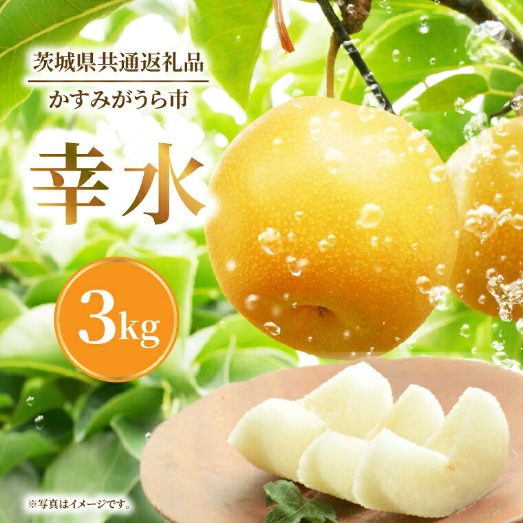 【ふるさと納税】8月上旬より発送 数量限定 採れたて 梨 幸水 3kg（茨城県共通返礼品／かすみがうら市）果物 くだもの フルーツ なし ナシ 旬 新鮮 期間限定 産地直送 茨城県 水戸市（FW-13）