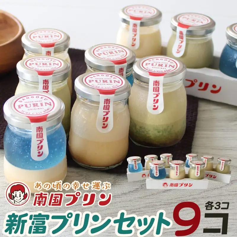 南国宮崎の新名物！南国プリン9個セット【C257】
