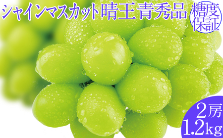 2026年予約受付中 シャインマスカット 晴王 7月～8月出荷 2房 約1.2kg  人気 岡山県産 種無し 皮ごと食べる みずみずしい  フレッシュ 晴れの国 おかやま 果物大国 ハレノフルーツ