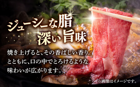 【12回定期便】A5等級 飛騨牛 切り落とし 500g ブランド牛 最高級 A5ランク 岐阜市 / 三心[ANGY014]