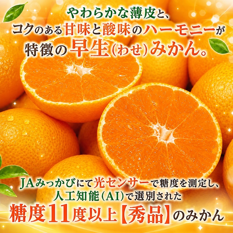 三ケ日みかん 早生【秀品】Sサイズ3kg(36個前後) ミカン 果物 くだもの フルーツ 甘い 静岡県 浜松市 果物類 柑橘類 