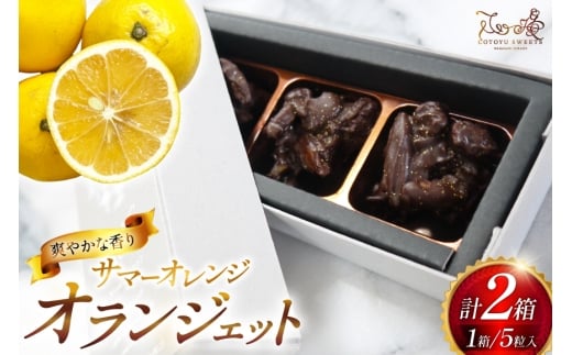 チョコ オランジェット サマー オレンジ 5粒入り 2箱 セット  [心優-Cotoyu Sweets- 長崎県 平戸市 hr42bgy420205] チョコレート ショコラ ピール 柑橘 スイーツ