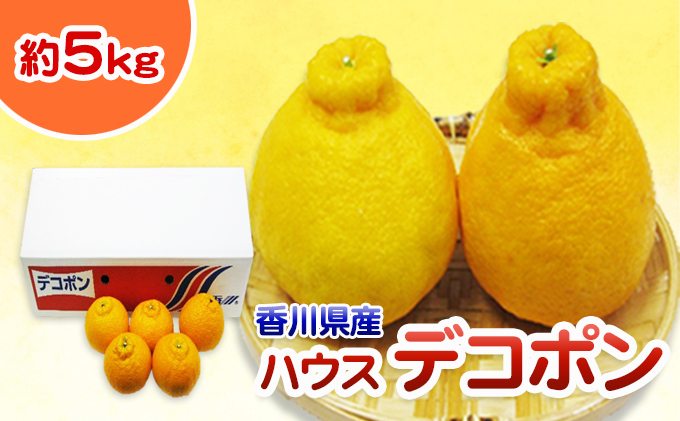 
[№4631-2073]ハウスデコポン（小玉）約5kg
