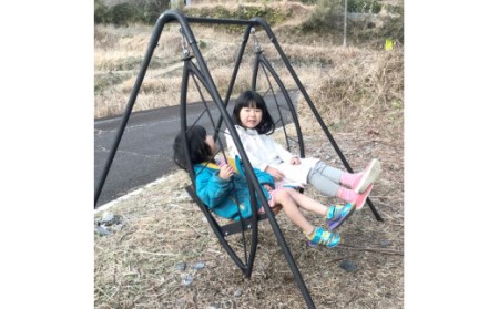ツヨニーの 家庭用ブランコ 【葉っぱ ブランコ ワイドタイプ】［1586］