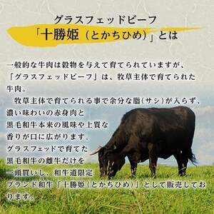 【毎月定期便】和牛道ハンバーグ120g×6食セット 大樹町 黒毛和牛 グラスフェッドビーフ全12回【配送不可地域：離島】【4071617】