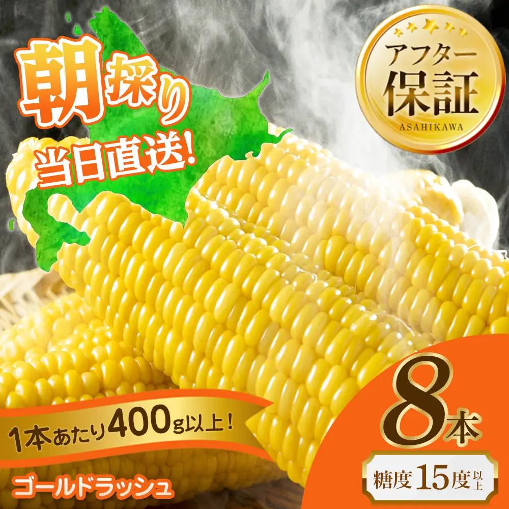 【先行予約】黄金色で大粒 ゴールドラッシュ 8本 3.2kg（2026年8月下旬から発送開始予定）| とうもろこし 北海道産とうもろこし_04560